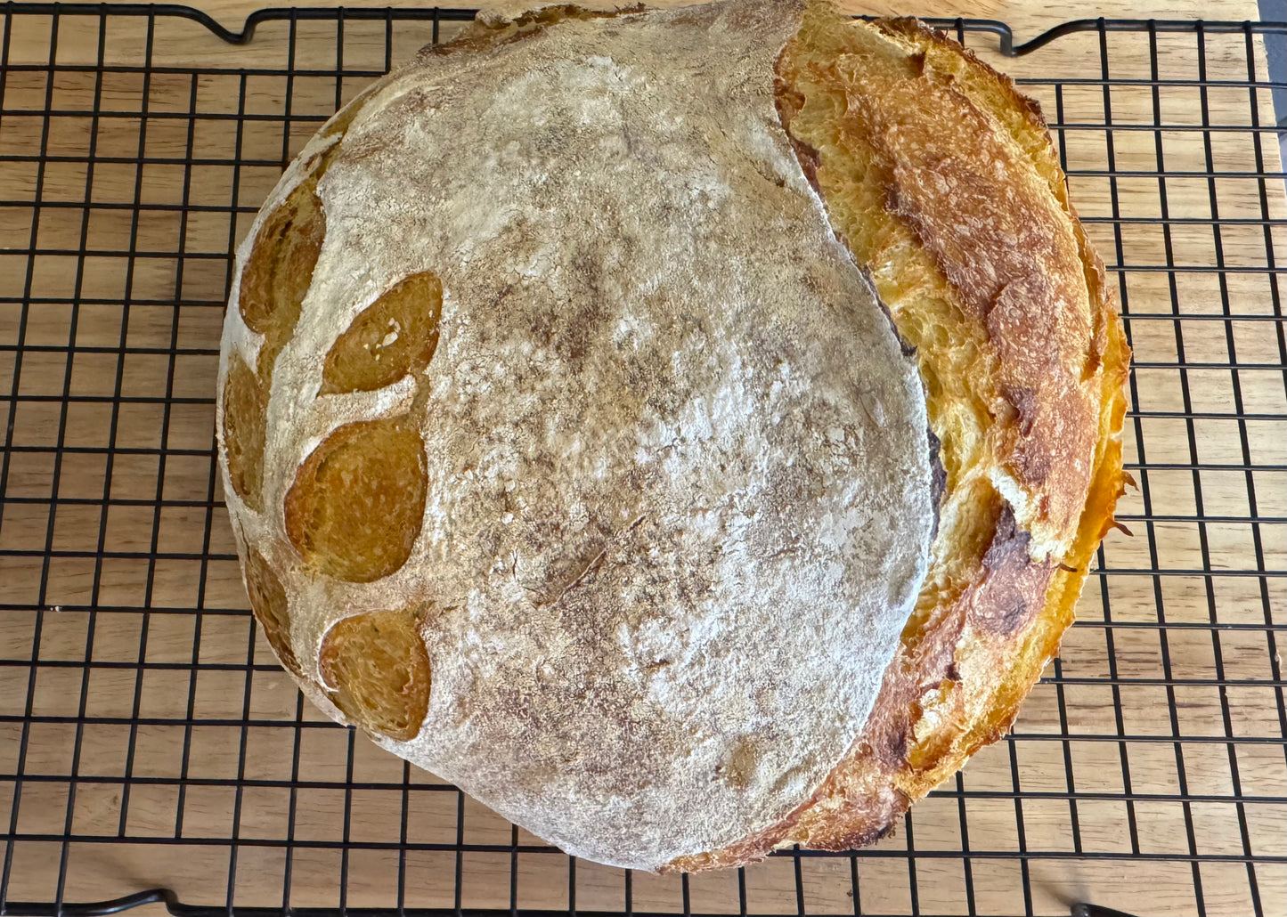 Sourdough Bread